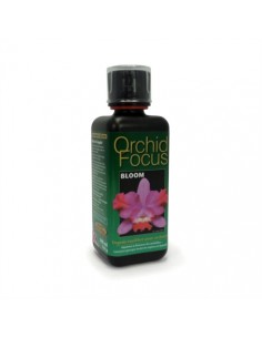 Orchid Focus Bloom 100 Ml