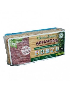 Sphaigne Du Chili - Sachet 1 Kg