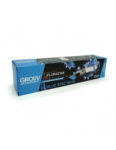 Ampoule Mh 1000w Gro 6000k - Florastar