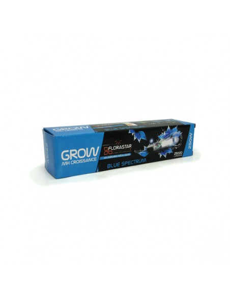 Ampoule Mh 250w Gro 6000k - Florastar