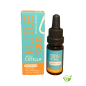 HUILE SUBLINGUALE CBD INSTANT PRESENT PINA COLADA 20% - 10ml