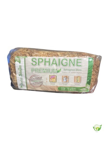 Sphaigne Du Chili - Sachet 250 G