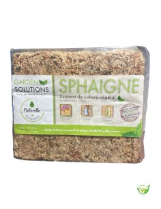 Sphaigne Du Chili - Sachet 500 G