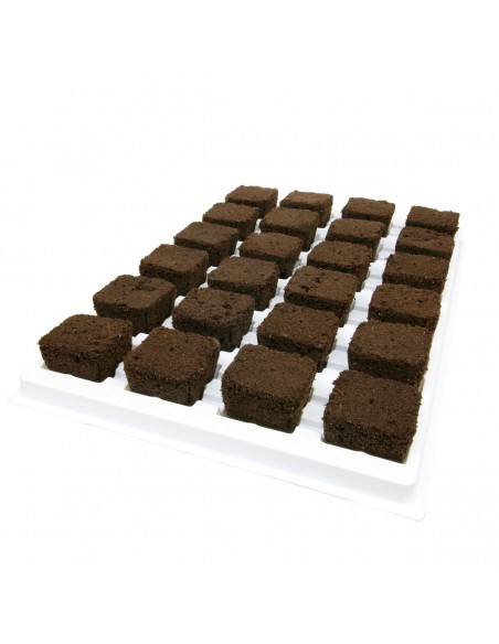 Root Riot - Plateau 24 Pcs