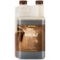 Bio Canna Boost 250ml