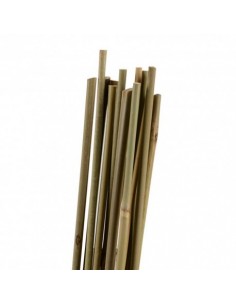 Tuteur Bambou 150 Cm - Pack De 25 Pcs