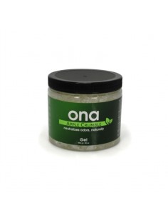 Ona Gel - 500ml - Apple Crumble