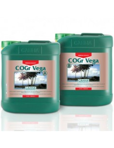 Canna Cogr Vega A+b - 2x5l