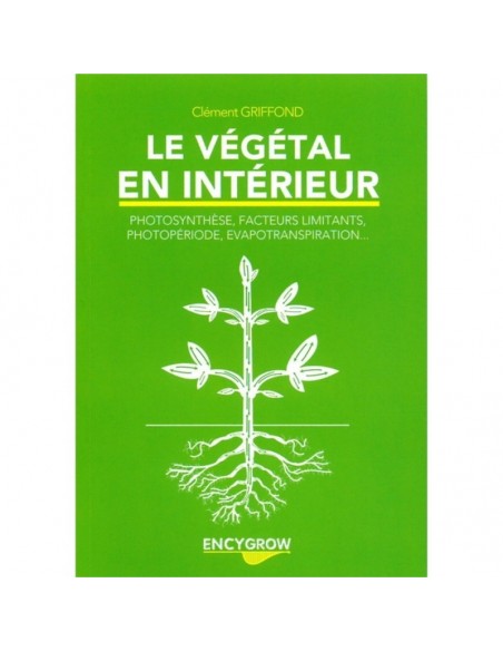 Clement Griffond Vegetal En Interieur