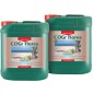 Canna Cogr Flores A+b - 2x5l